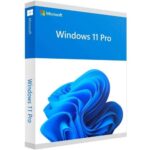 Produktbild von Microsoft Windows 11 Professional