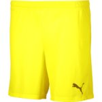 Bild von Puma teamGOAL Short Kids Gelb F23 140