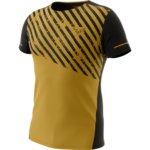 Bild von DYNAFIT ALPINE 2 TEE Herren tobacco L